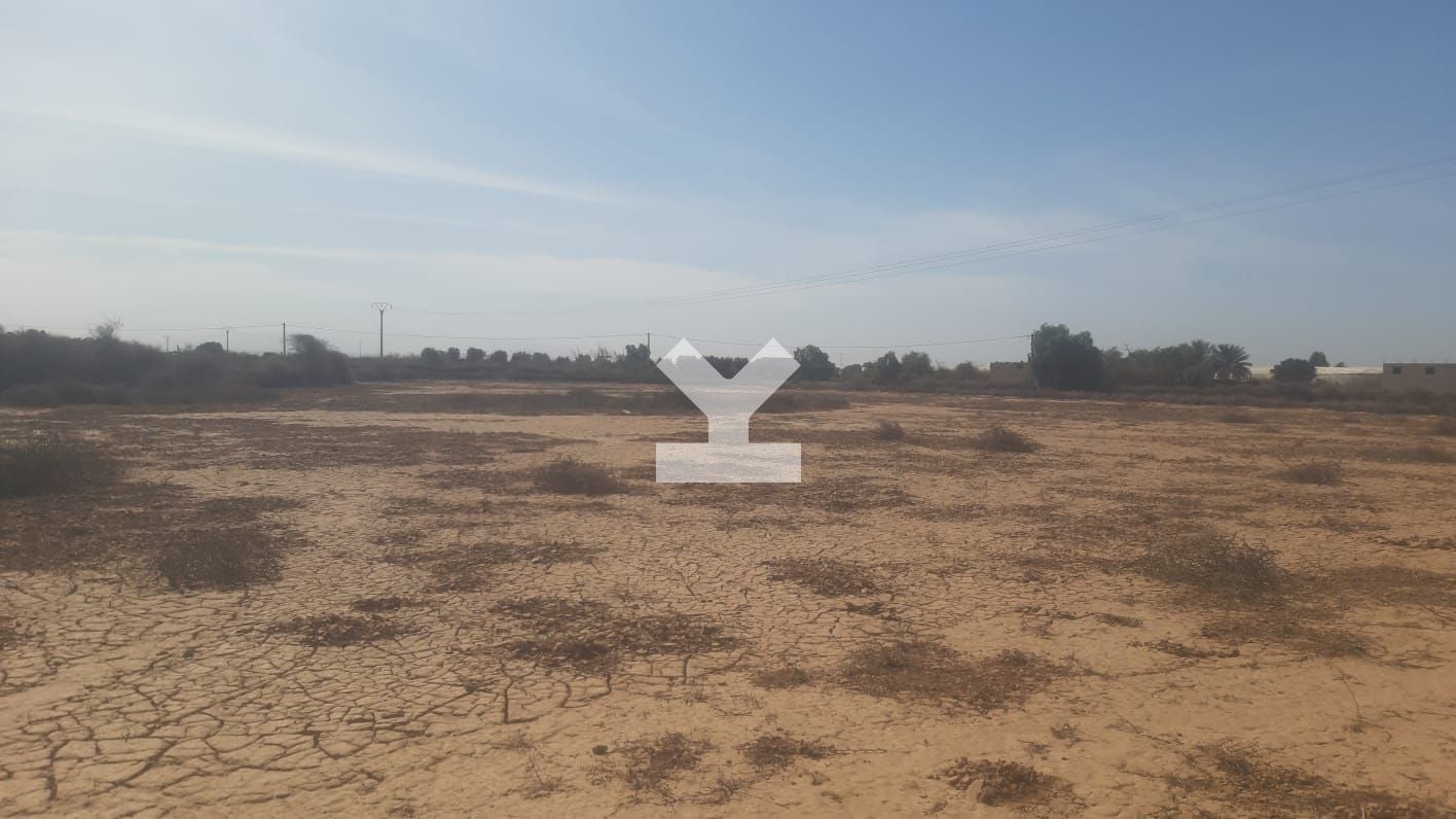 / i085890/image_405474071.jpeg